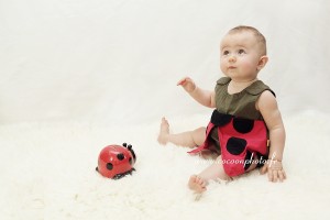 Christine Gaudissart Cocoon Photo Bébé Coccinelle